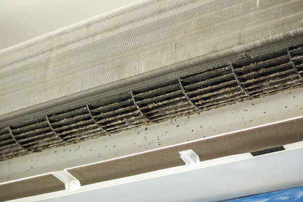 Best Air Duct Cleaning Near Me  in Richlands, NC